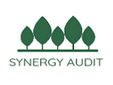 Synergy Audit e-learning